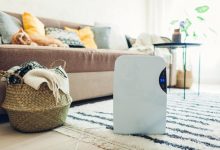 mould-resistant-living:-how-a-dehumidifier-can-help-you-breathe-easier