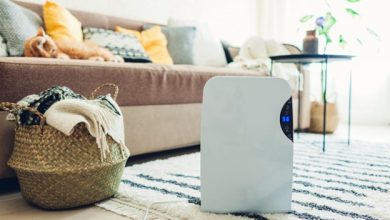 mould-resistant-living:-how-a-dehumidifier-can-help-you-breathe-easier