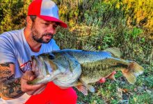 from-bass-fishing-rod-to-best-travel-fishing-rod:-gear-that-does-it-all