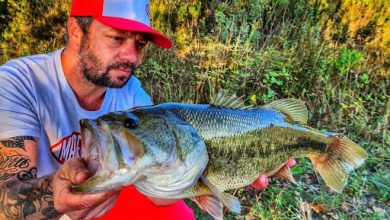 from-bass-fishing-rod-to-best-travel-fishing-rod:-gear-that-does-it-all