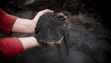 ai-driven-soil-intelligence:-turning-contamination-into-carbon-value