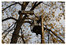 trick-or-treat-tech:-smart-security-tips-for-halloween