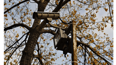 trick-or-treat-tech:-smart-security-tips-for-halloween